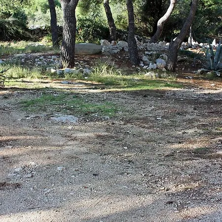 Rogoznica 3199b * Rogoznica (Sibenik-Knin)